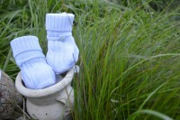 /album/galleria-foto-autunno-inverno-2015/dsc-0635-min-jpg/