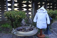 /album/galleria-foto-autunno-inverno-2015/dsc-0597-min-jpg1/